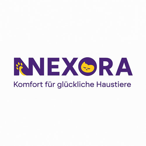 Nexora Solutions
